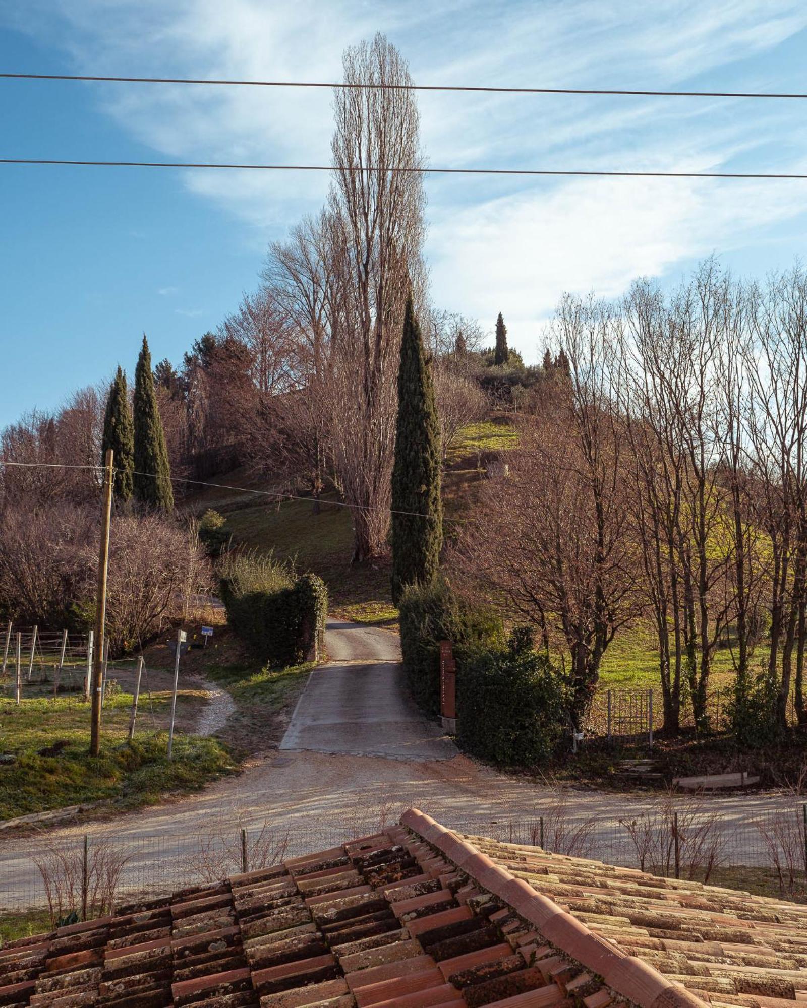 Agriturismo La Vigna Di Sarah Vittorio Veneto Exterior photo
